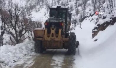 Ateşi çıkan Dicle bebek için karla mücadele ekipleri seferber oldu