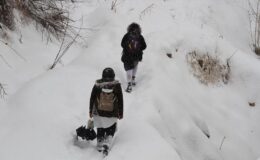 Bitlis’te okullar tatil mi? 6 Şubat Pazartesi Bitlis’te okullar tatil edildi mi? Son dakika Bitlis’te okullar yarın tatil mi?