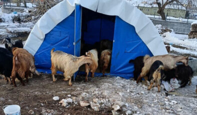 Deprem bölgesi için iki acil çağrı: Yok pahasına elden çıkarmayın