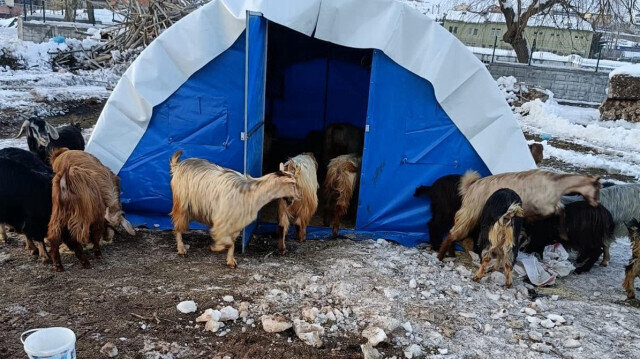 Deprem bölgesi için iki kritik çağrı: Yok pahasına elden çıkarmayın