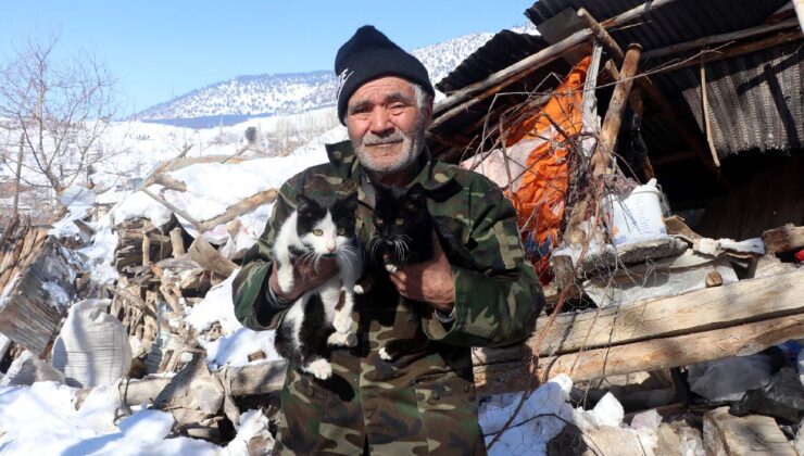 Depremde eşini kaybetti: 4 gün sonra 4 kedisini kurtardı