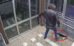 Kedi tekmeleyen hayvan düşmanının ifadesi ortaya çıktı: Site yönetimine verdiğim bir tepkiydi