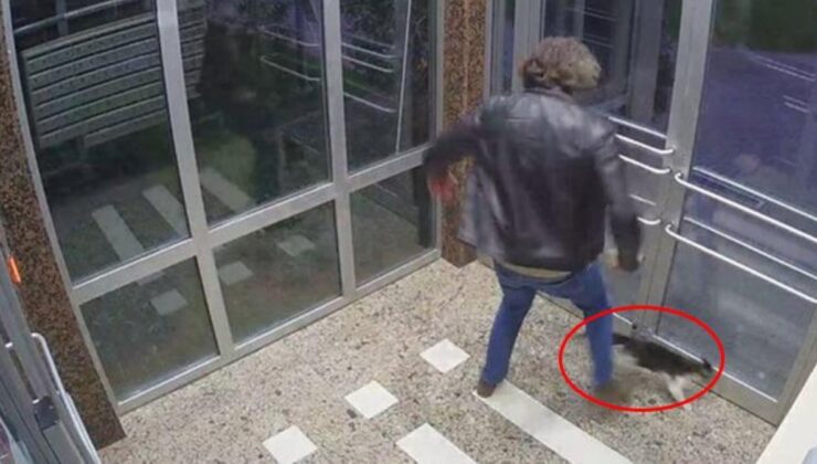 Kedi tekmeleyen hayvan düşmanının ifadesi ortaya çıktı: Site yönetimine verdiğim bir tepkiydi