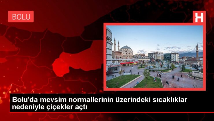 Bolu’da mevsim normallerinin üzerindeki sıcaklıklar nedeniyle çiçekler açtı