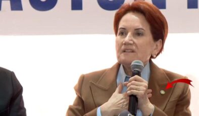 Deprem bölgesini ziyaretinde dikkatlerden kaçmadı! Akşener rozetini neden taktığını açıkladı