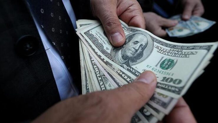 Dolar 19,02 lira seviyesinden işlem görüyor