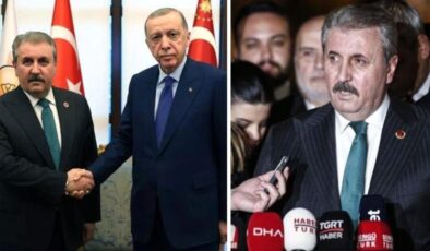 Erdoğan’la görüşen Destici, Kızılay Başkanı’na bir kez daha istifa çağrısı yaptı