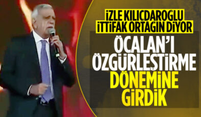 HDP’li Ahmet Türk: Önümüzdeki dönem Öcalan’ın özgürleşme dönemidir