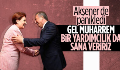 Meral Akşener: Muharrem İnce’nin Millet İttifakı’nda yer almasını isterim