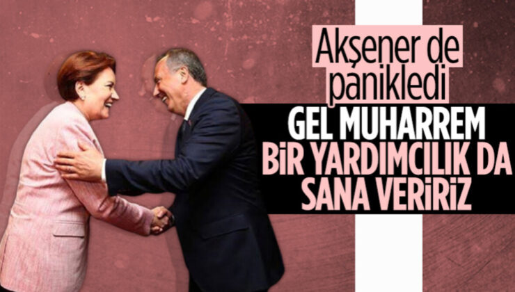 Meral Akşener: Muharrem İnce’nin Millet İttifakı’nda yer almasını isterim