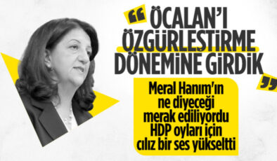 Meral Akşener’den HDP’ye cılız tepki: Nevruz katile özgürlük dileme günü değildir