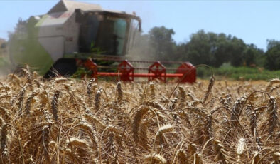 Tarımsal destekleme ödemeleri bugün çiftçilerin hesaplarına yatırılacak