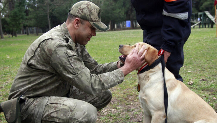 TSK’nın depremde görev alan kahraman köpeklerine madalya