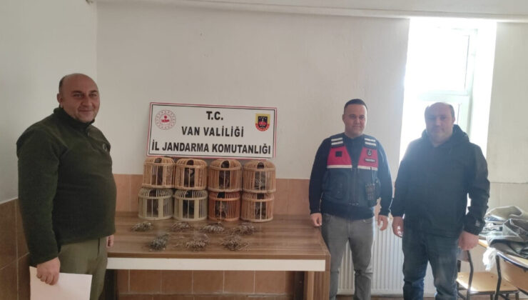 Van’da kafes avcılığı! 8 kınalı keklik ve kafeslere el konuldu