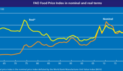 FAO Gıda Fiyat Endeksi art arda 12’inci ayda da düştü