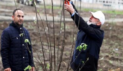 Kayseri Kocasinan’dan meyve bahçeli park projesi