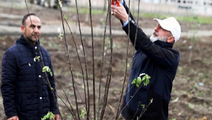 Kayseri Kocasinan’dan meyve bahçeli park projesi