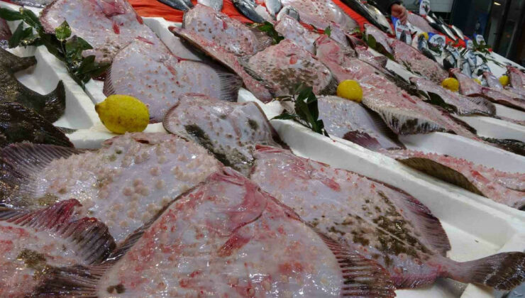 Ordu’da balık tezgahlarında kalkan görenler fotoğraf çekmekle yetindi