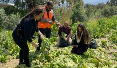 ‘Tarıma destek ol Hatay’ hayata geçirildi