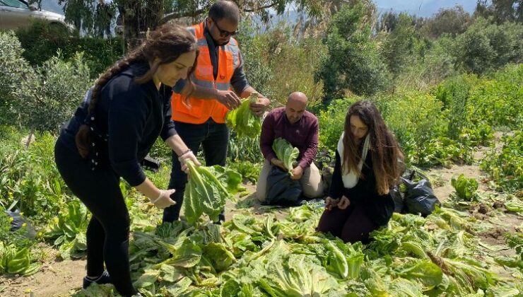 ‘Tarıma destek ol Hatay’ hayata geçirildi