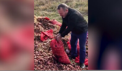 Vatandaşlar isyan etti: Tonlarca soğan yol kenarına döküldü