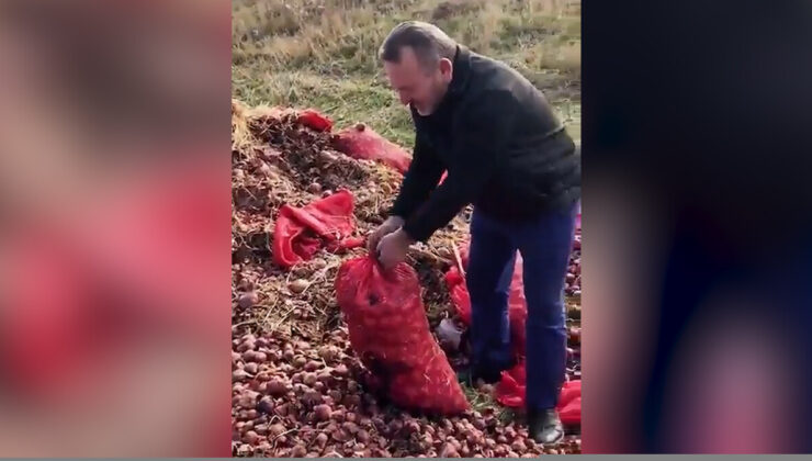 Vatandaşlar isyan etti: Tonlarca soğan yol kenarına döküldü