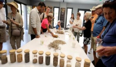 Efes Selçuk’ta agro turizm atağı