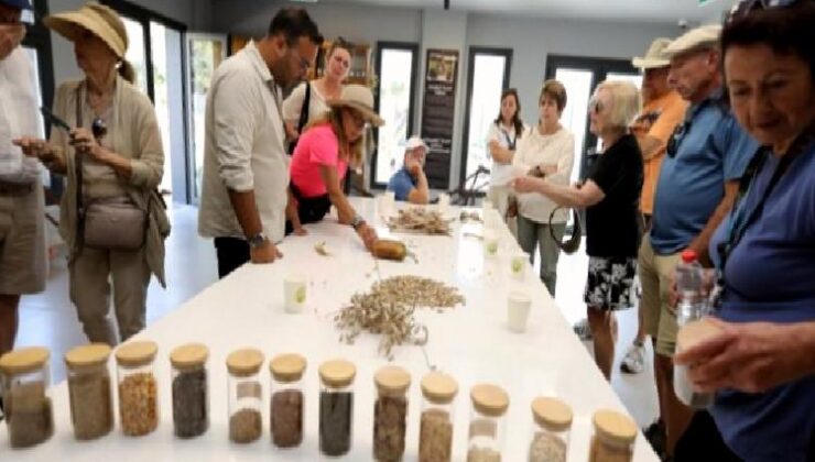 Efes Selçuk’ta agro turizm atağı