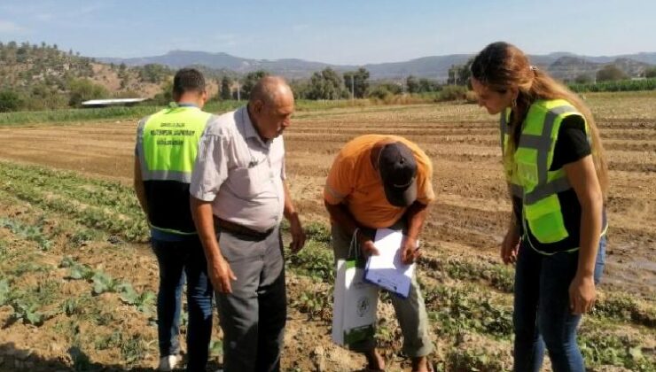 Milas’ta tarımsal üretimi desteğe devam