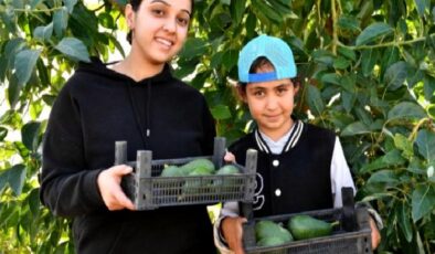 Avokado üreticileri en çok kazanan oldu