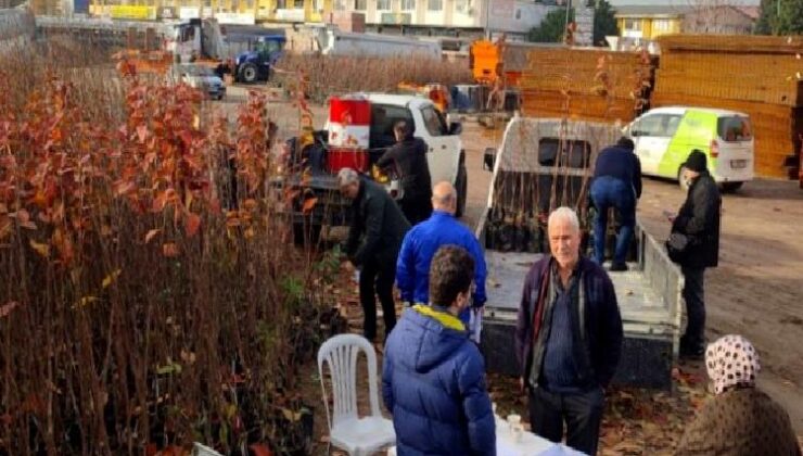 Kocaeli’nin yüzde 50 hibeli meyve fidanları dağıtılıyor