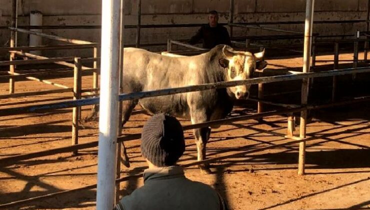 Hayvancılığı şaha kaldıracak tesis