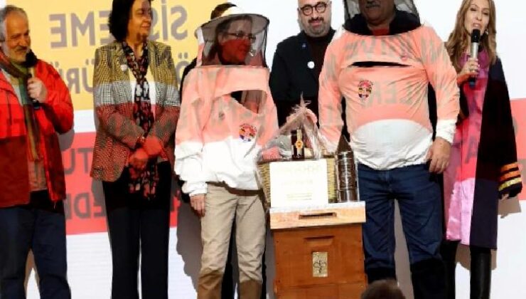 İstanbul Şile’de ‘arı turizmi’ zirvesi