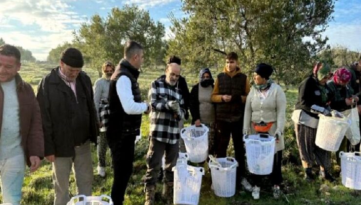 Manisa Akhisar’da zeytin üreticisine koruyucu malzeme